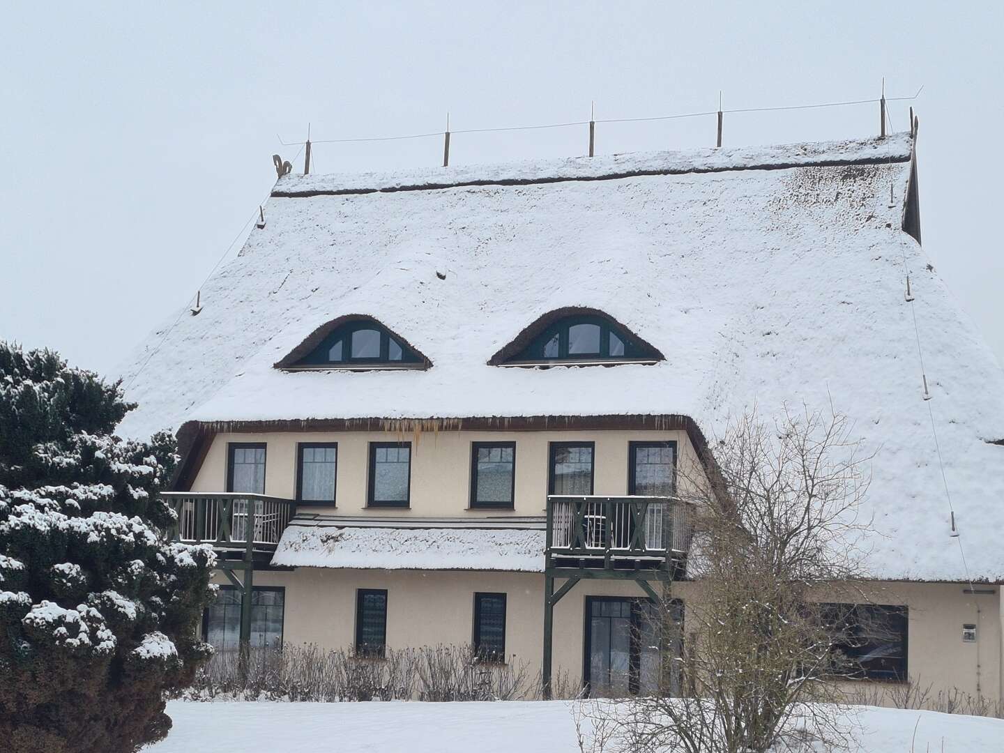 Streicheleinheiten für die Seele