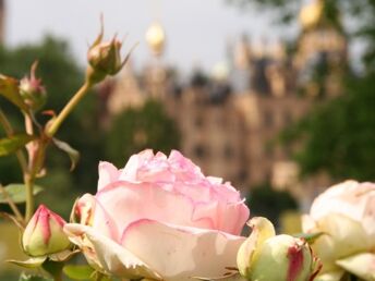 Romantische Tage in Schwerin