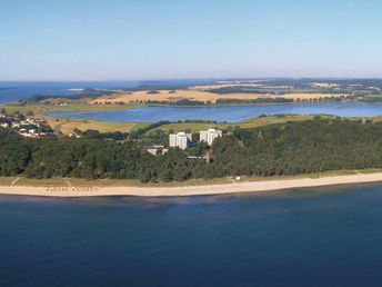 Ahorn, Buche, Igel im September auf Rügen