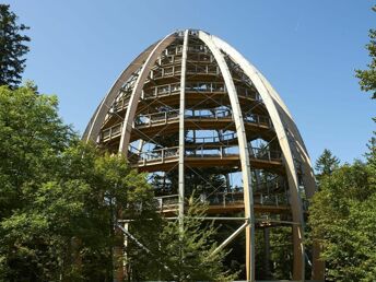 Waldwildnis hautnah Erleben - inkl. Baumwipfelpfad