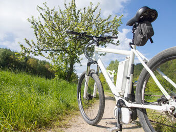 KontrastE die begeistern - mit E-Bike den Donauradweg erkunden