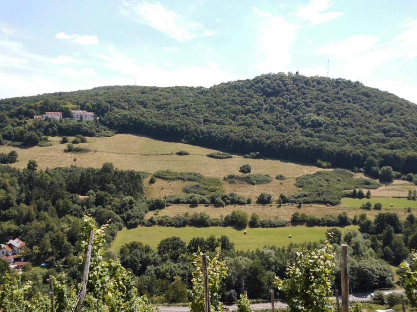 Sommer, Sonne, weißblauer Himmel … 5 Tage in der Pfalz inkl. HP