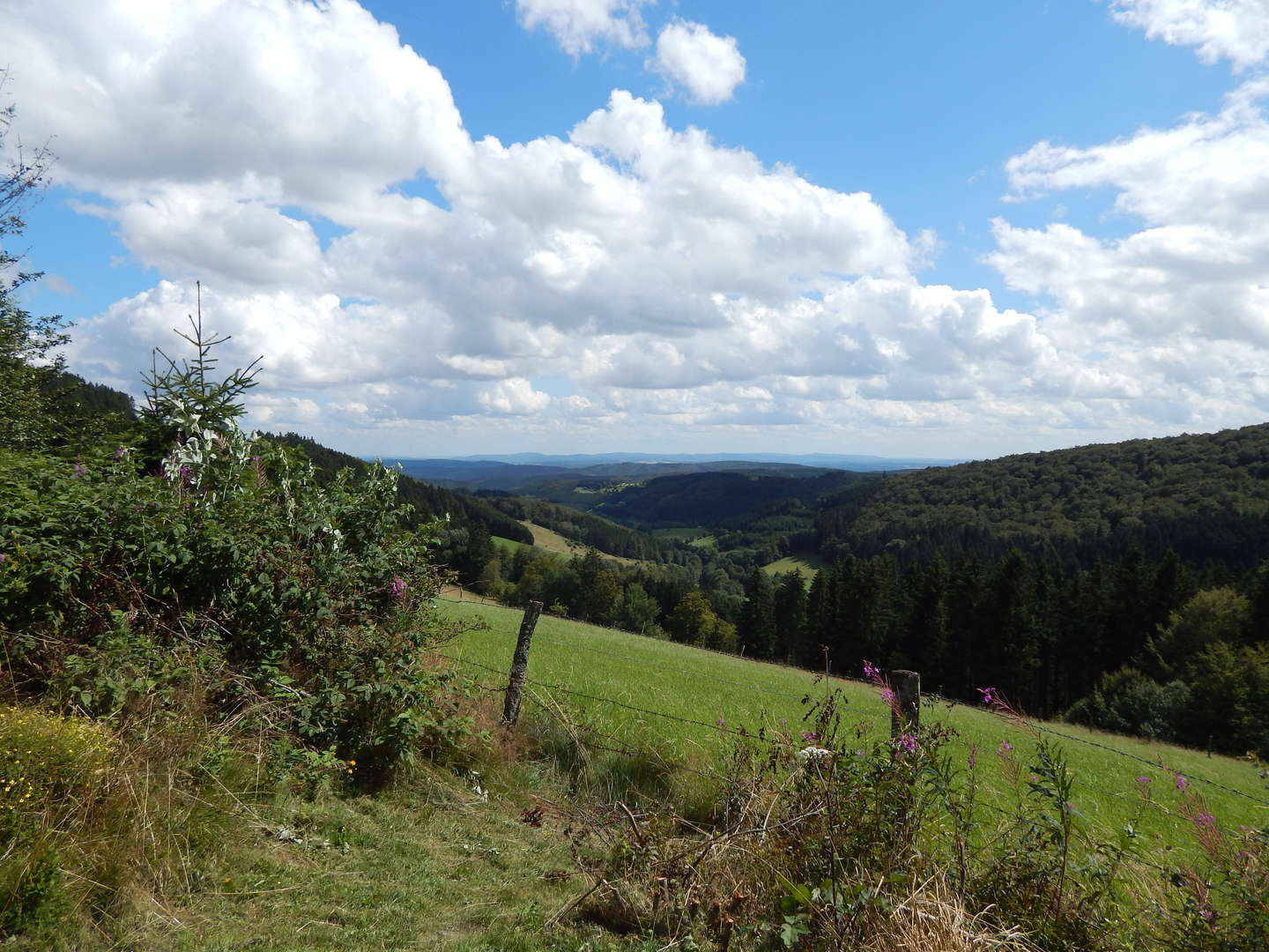 3-Tage-Special im Sauerland inkl. einer Verwöhn Pension 