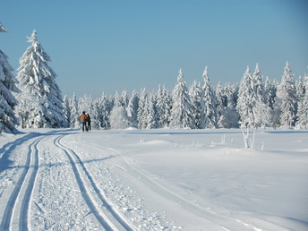 7 wunderbare Verwöhntage im Sauerland inkl. Halbpension