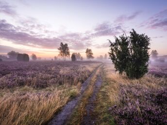 Romantische Auszeit in der Lüneburger Heide