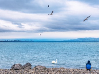 SEEaktiv - wintertime am Bodensee