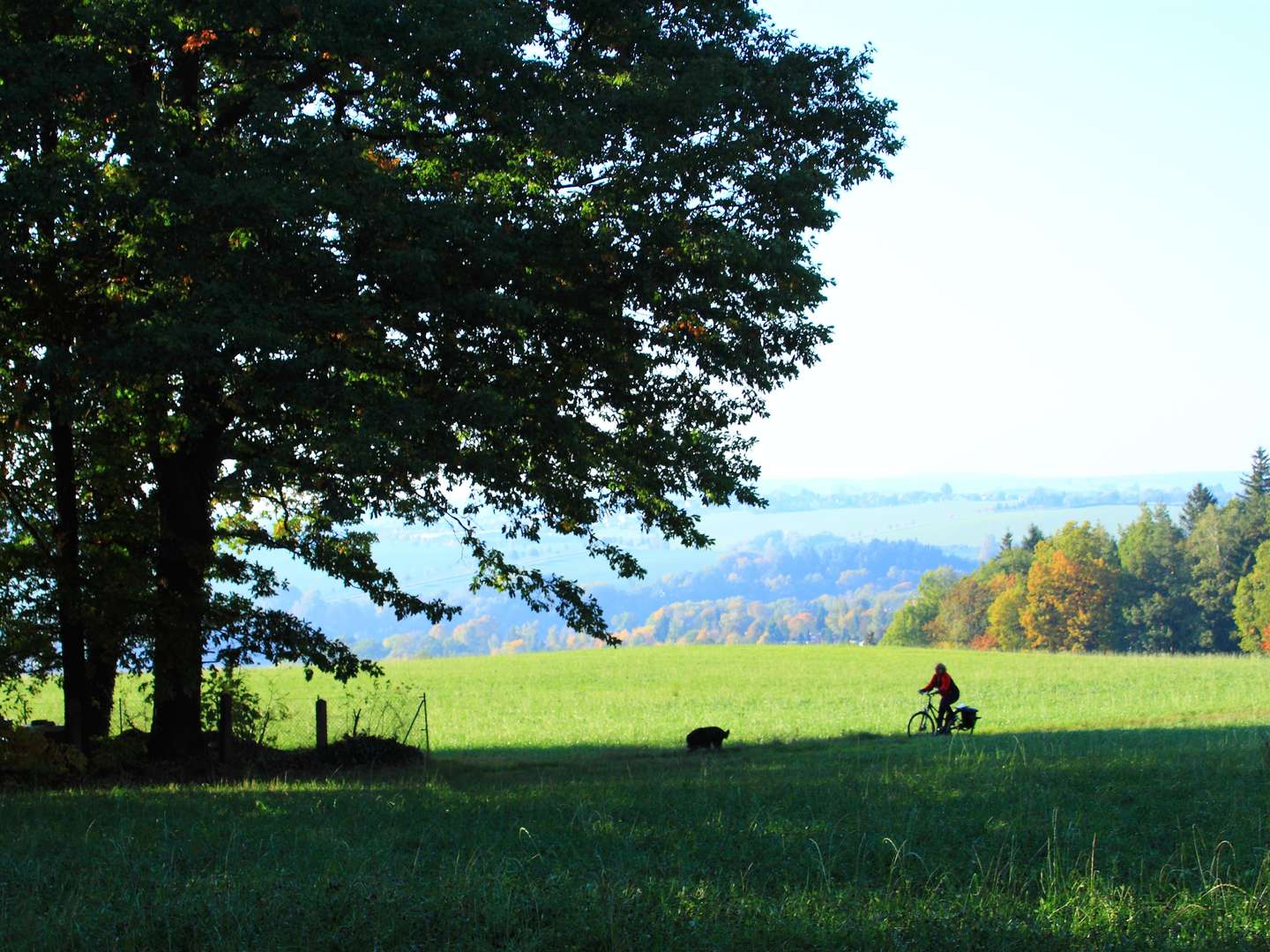 Herbst-Special- 4 Tage im Erzgebirge inkl. Special- Menüs & Schlachteplatte