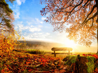 Herbst-Special- 4 Tage im Erzgebirge inkl. Special- Menüs & Schlachteplatte