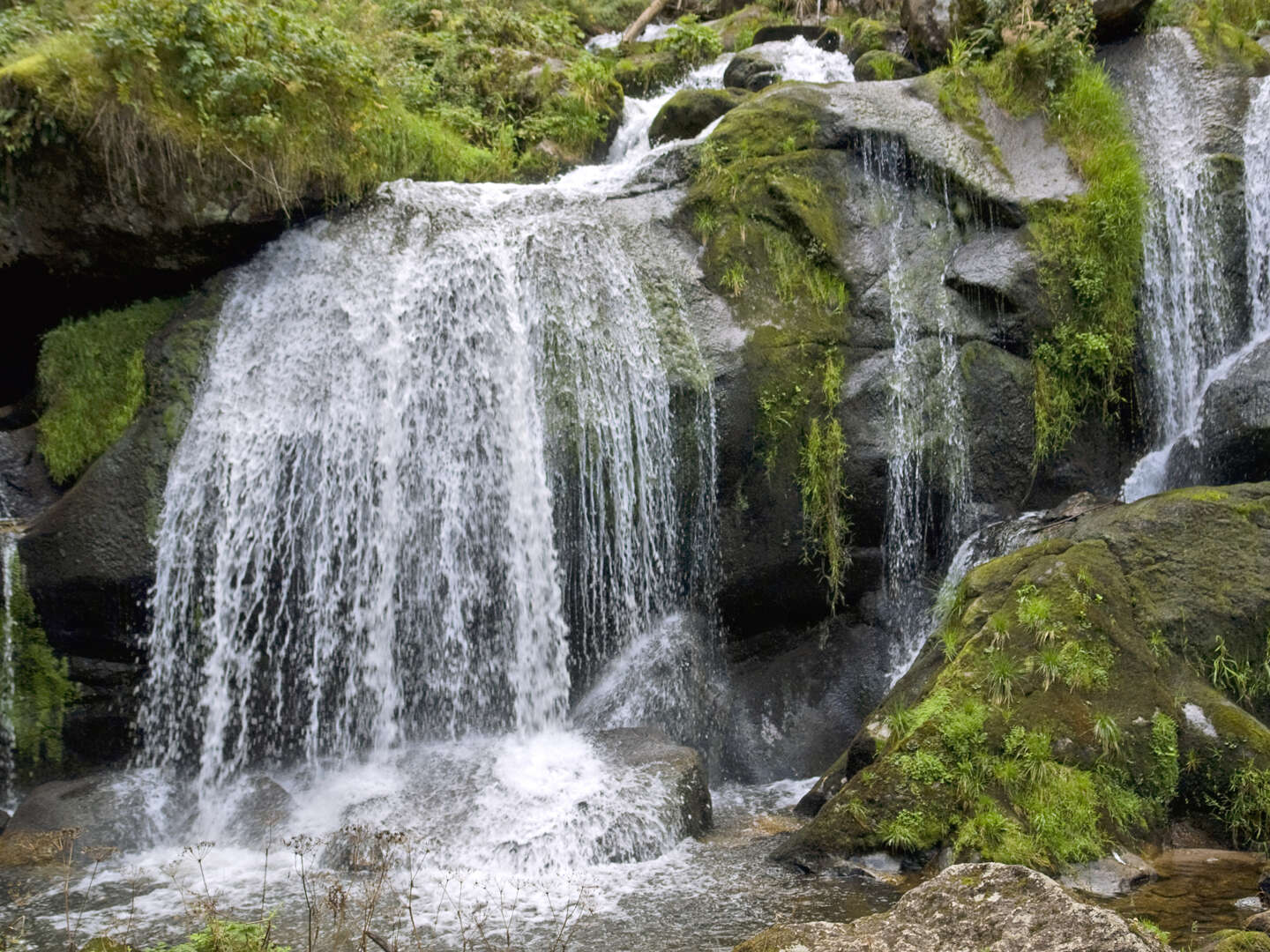 Das Wandern im Schwarzwald ist... auch meine Lust