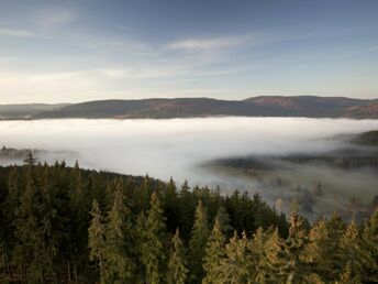 Wandern im Schwarzwald 4 Tage