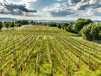 Erlebnistage am Bodensee mit der Landesgartenschau in Wangen im Allgäu