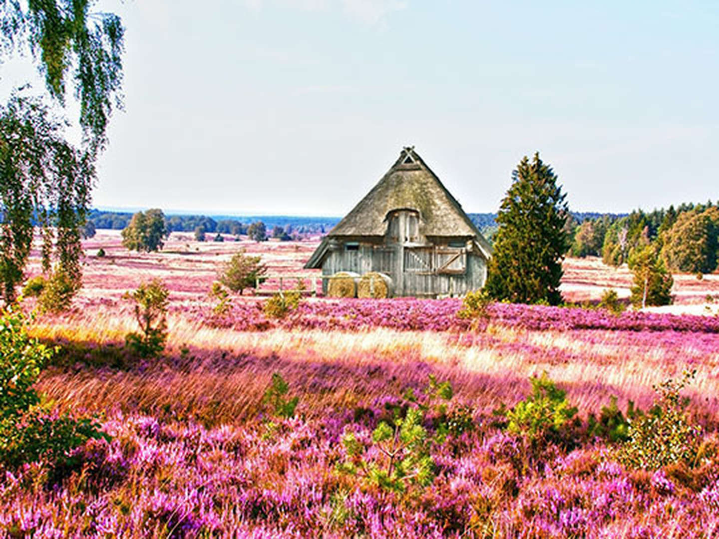 5*-Exklusiv-Kurzurlaub in der Lüneburger Heide | 3 Tage