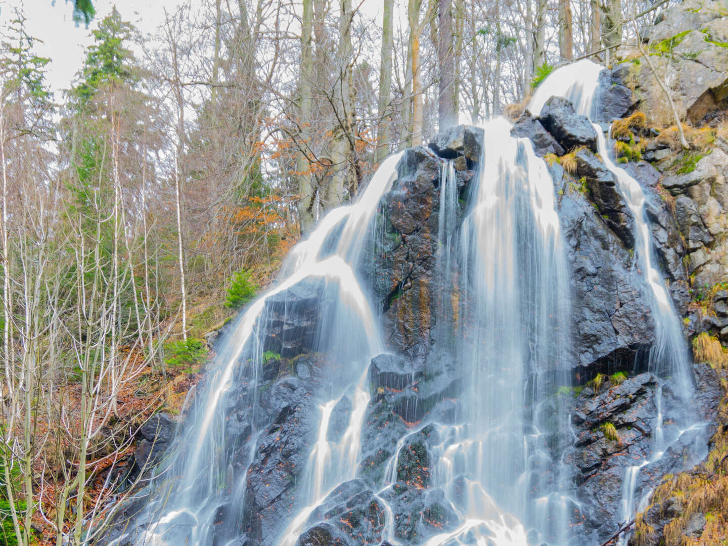 Kurze Entspannung im Harz