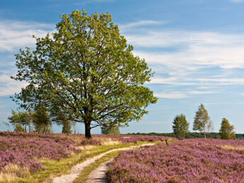 Speck weg Tage im Süden der Lüneburger Heide