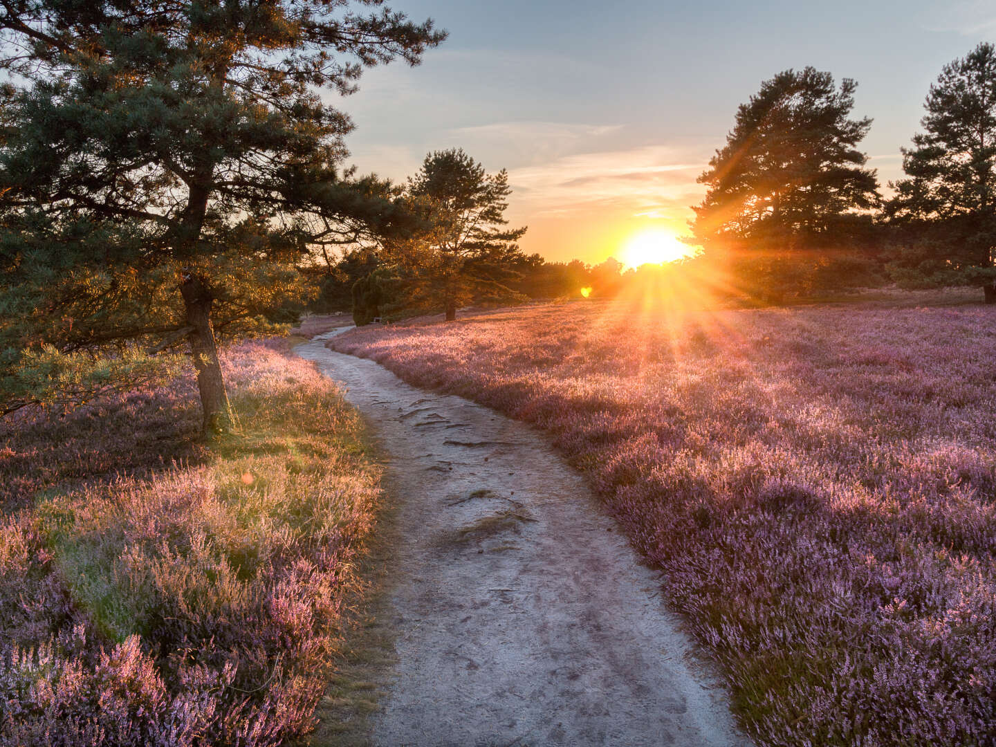 Speck weg Tage im Süden der Lüneburger Heide