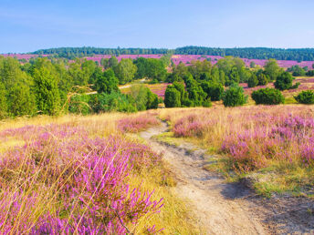 Schnupper-Wellnesswochenende im Süden der Lüneburger Heide