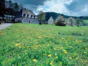 Ausspannen - Genießer Tage im Schwarzwald