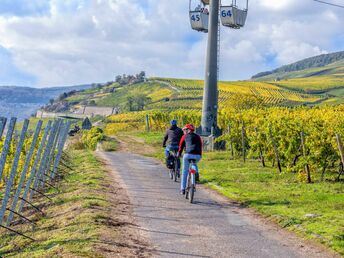 4 Tage - Kurzurlaub am Rhein in den Weinbergen vom Rheingau inkl. HP