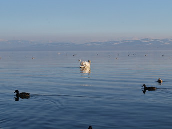 Silvester-Auszeit am Bodensee