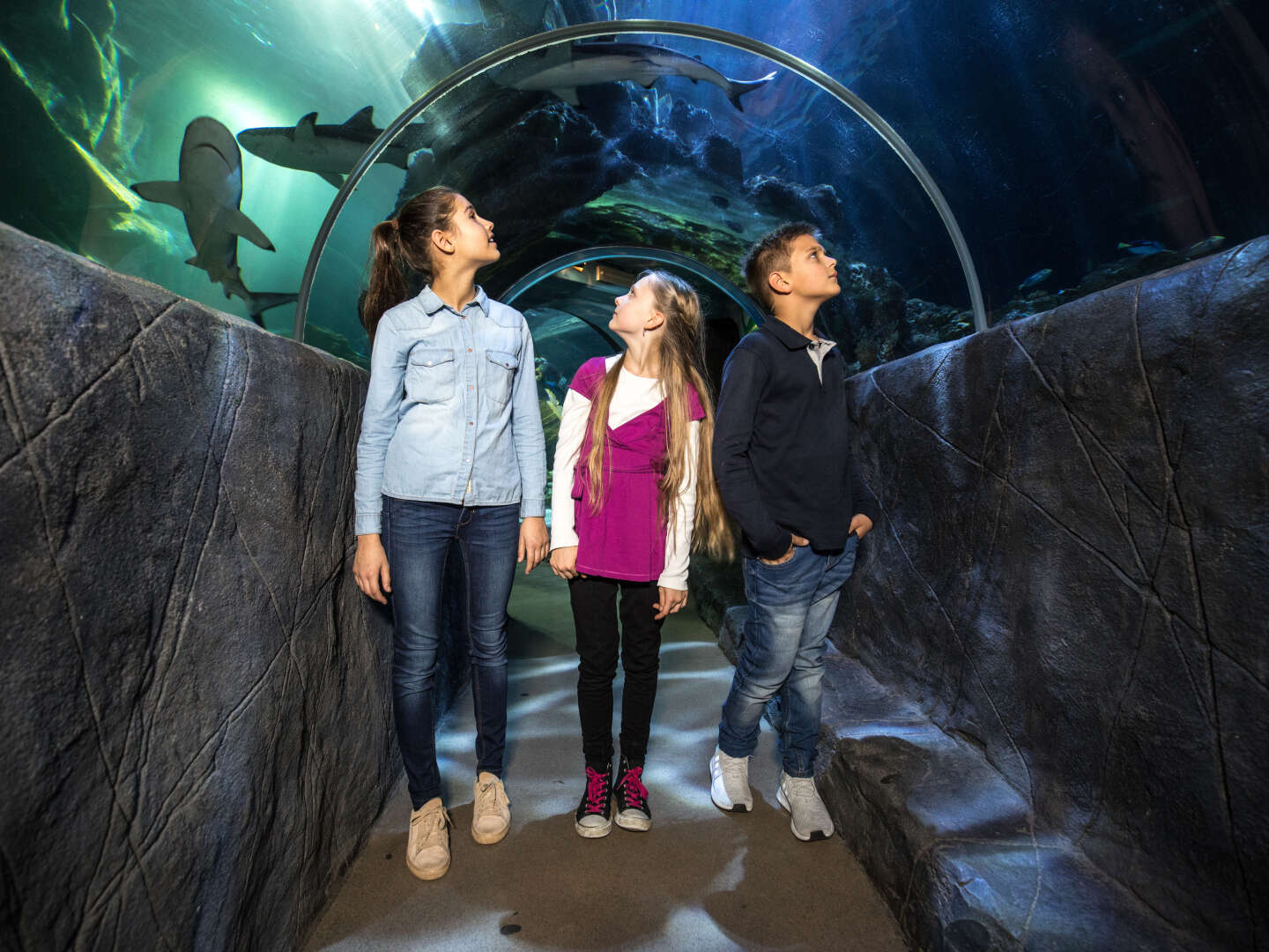 Eine Unterwasser-Weltreise im SEA LIFE Oberhausen | 2 Tage