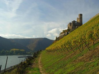 Rheinromantik inkl. HP, Weinprobe & Loreley Rundfahrt