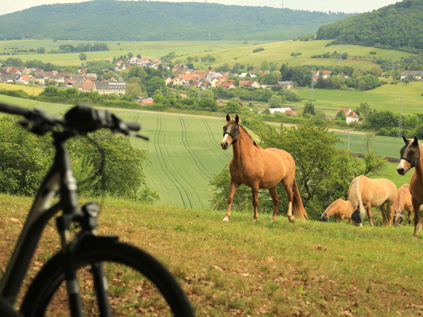 Landidyll zum Kennenlernen 5-Gang 