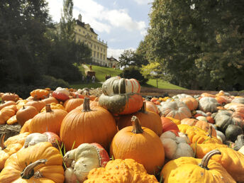 Goldener Kürbis-Herbst in Ludwigsburg