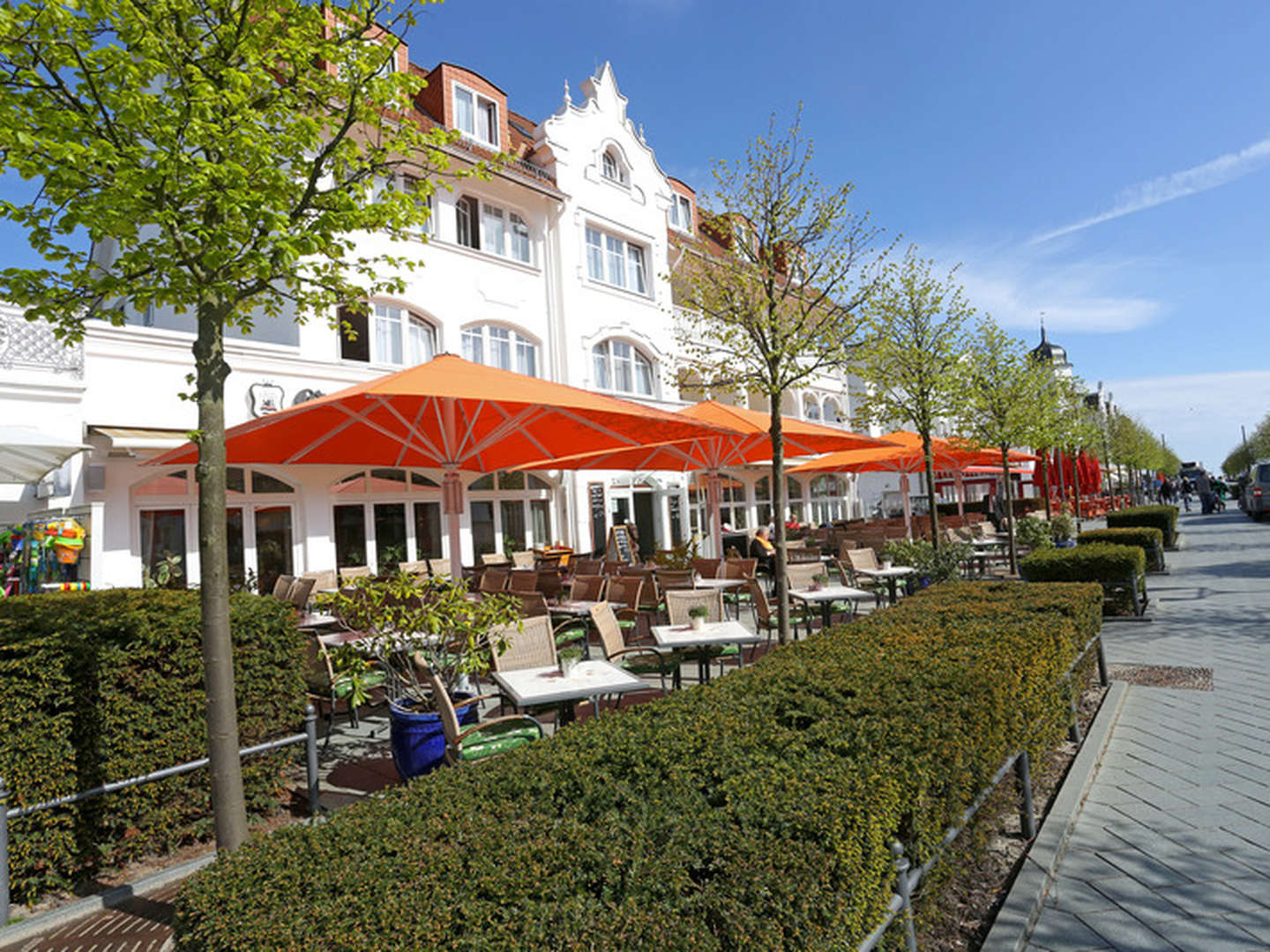 Goldener Herbst auf der Insel Rügen 2024