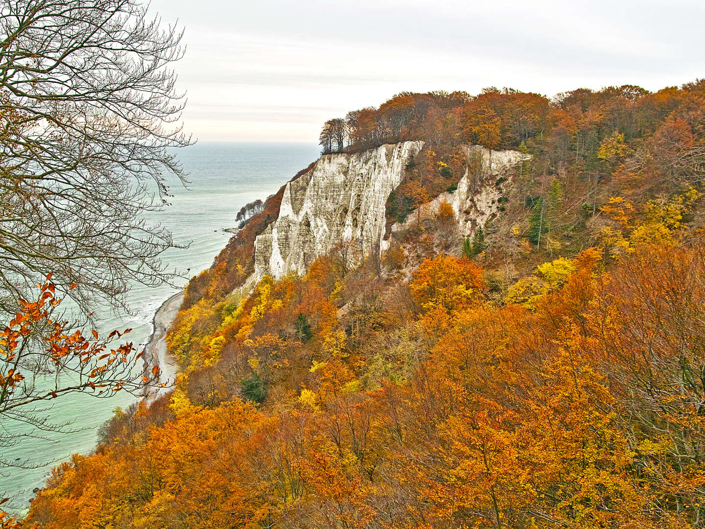 Goldener Herbst auf der Insel Rügen 2024