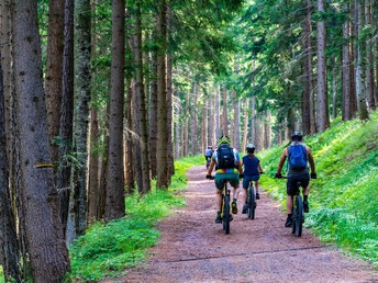 5 Tage Familienurlaub - Ein unvergessliches Erlebnis im Harz