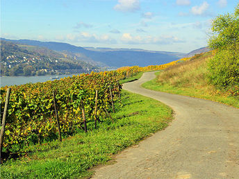 4 = 3 Erholung in der Pfalz inkl. HP