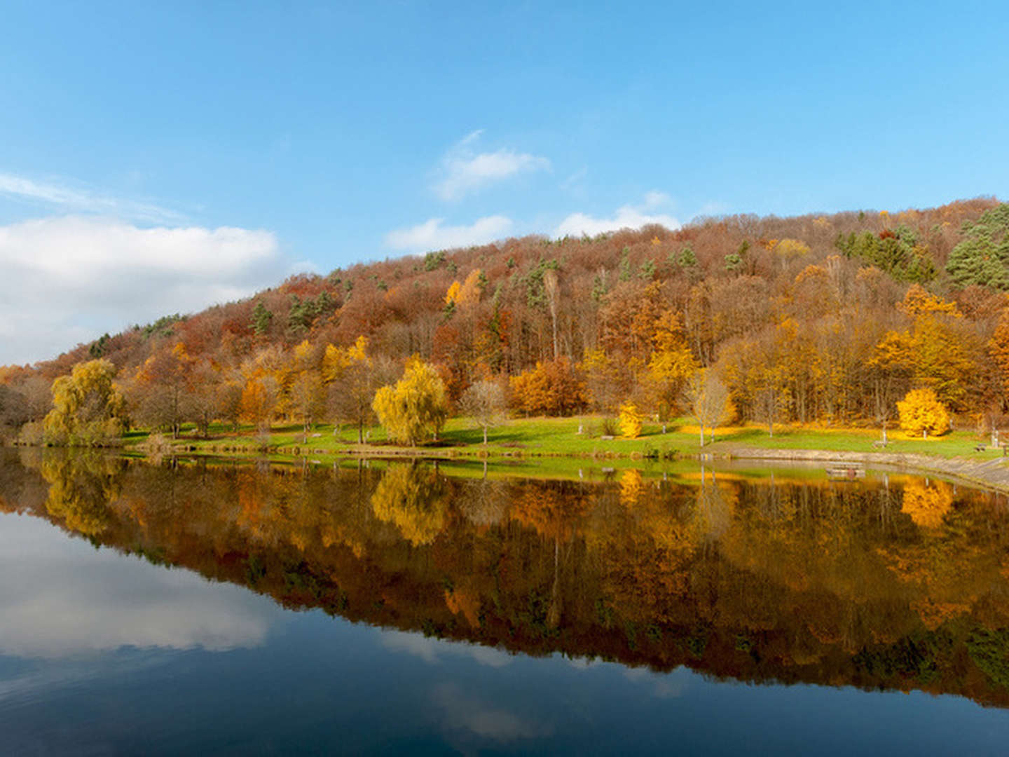 4 = 3 Erholung in der Pfalz inkl. HP