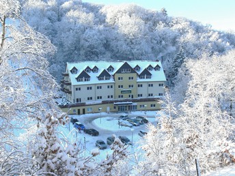 Kunterbunt den Harz erleben