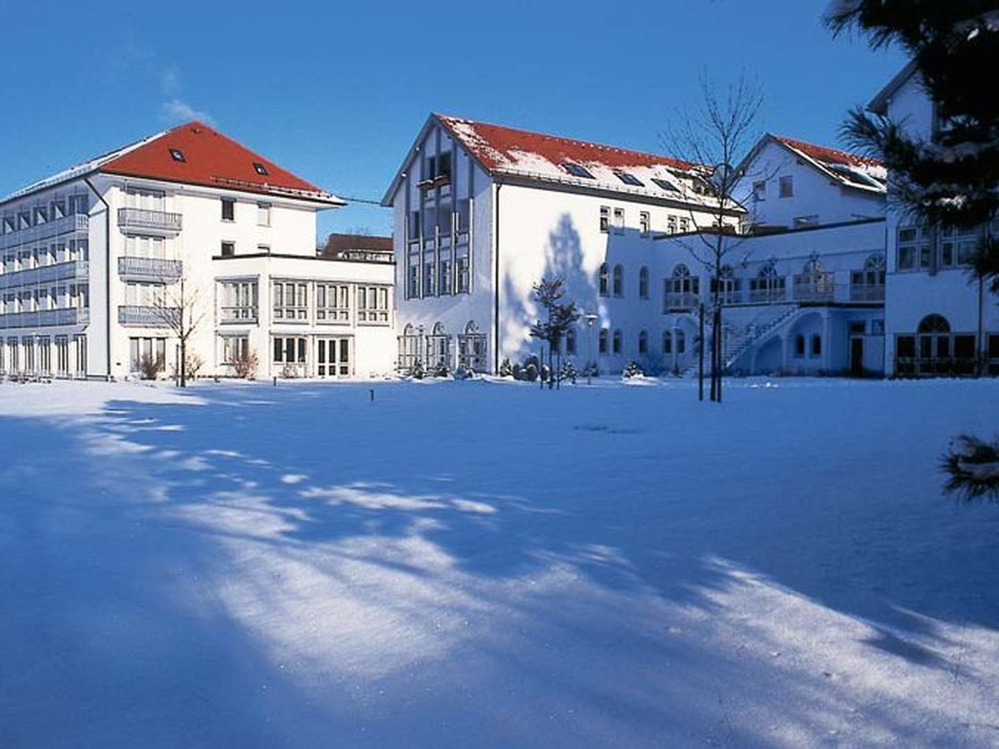 Kuscheltage zum Valentinstag