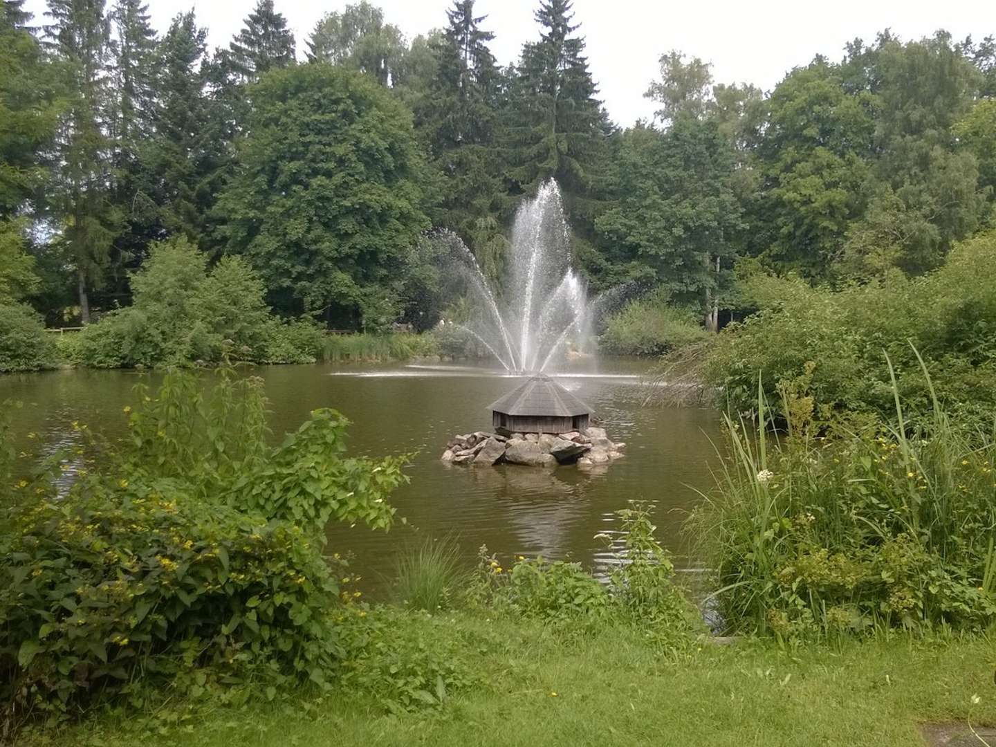 Urlaub unter Palmen- Allgäu mit Therme