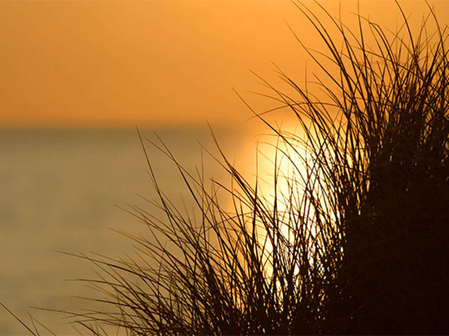 Kleine Auszeit auf Usedom