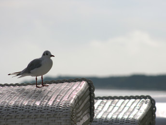 Kleine Auszeit auf Usedom