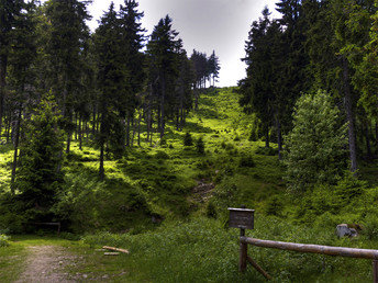 Den Wurmberg im Harz erklimmen