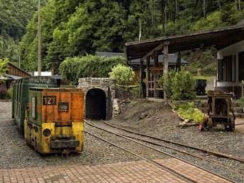  Wandertage im Harz  inkl. Abendessen & Lunchpaket