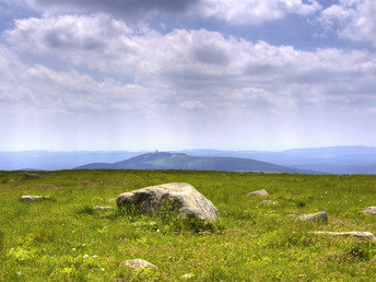 Wald und Wiesenpicknick im Harz