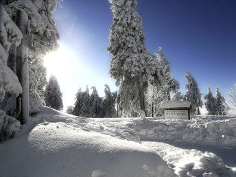 Wanderurlaub im Harz inkl. Abendessen