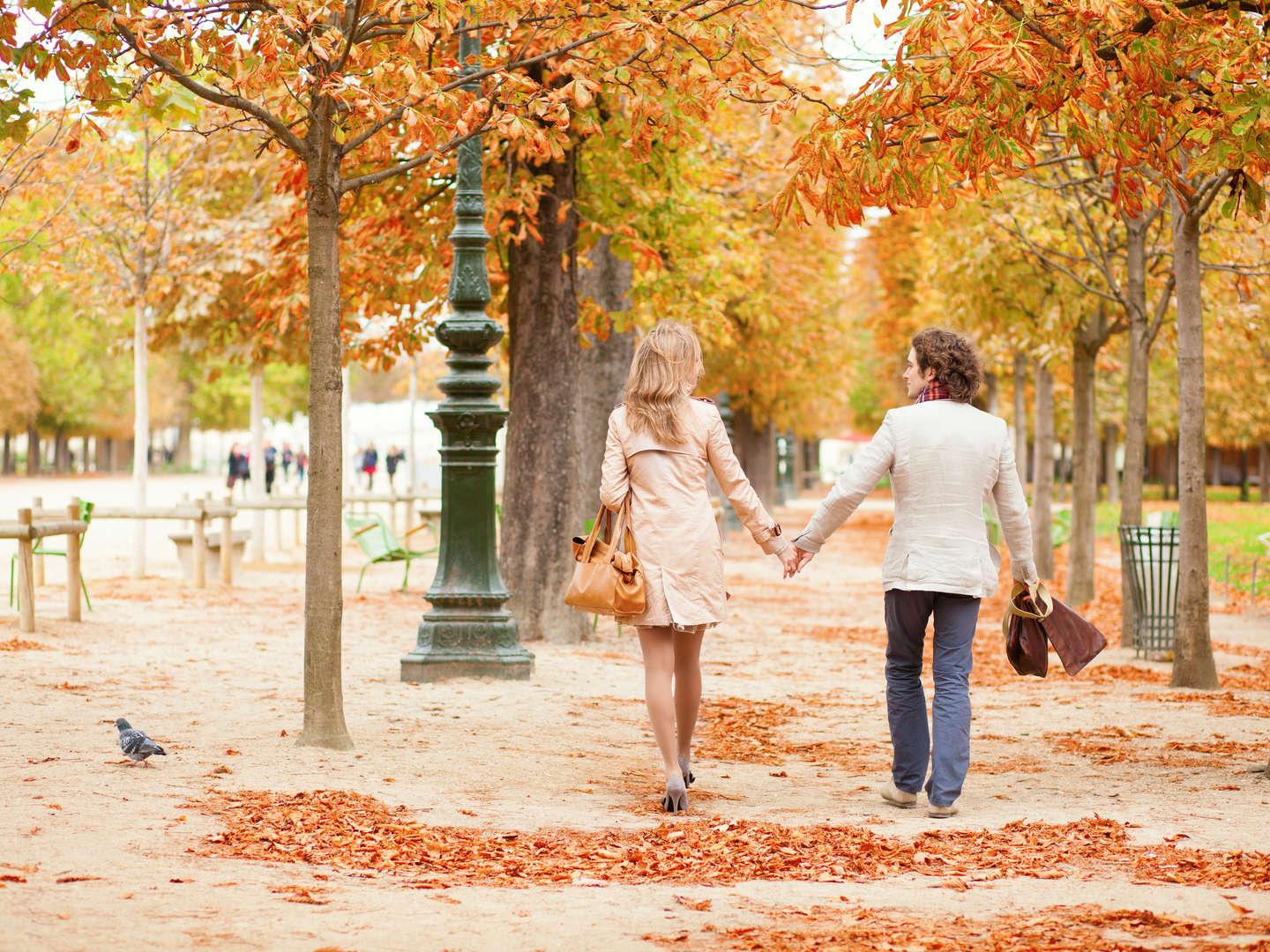 3 Tage - Goldene Herbsttage in Dresden 