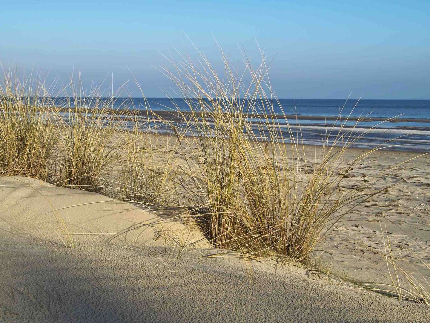 Endlich Feiertag - für 4 Tage ab auf die Insel Usedom 