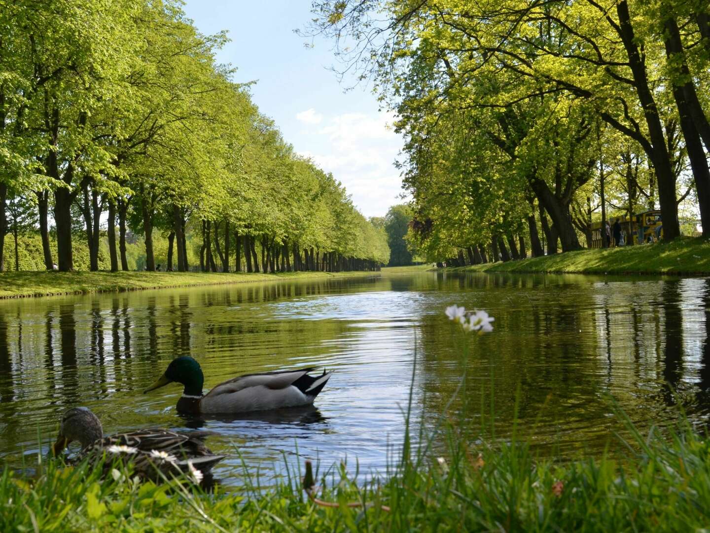 Silvesterurlaub  mit großer Feier am Schweriner See