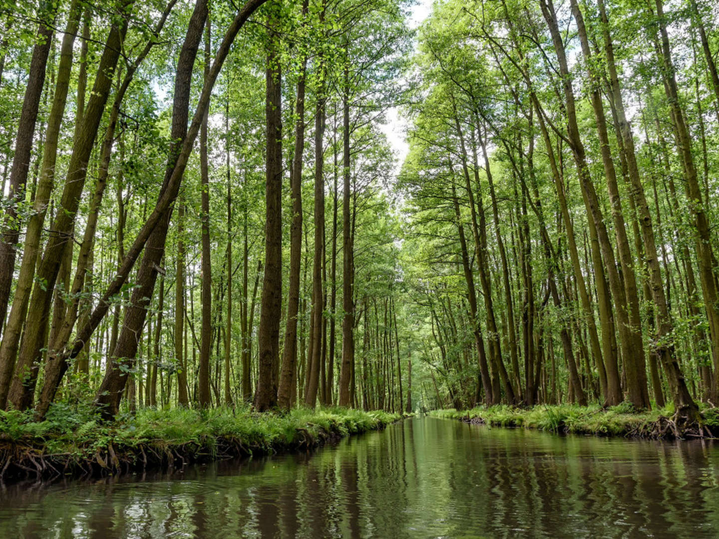 Spreewald-Erholung - 6 Tage im Hotel Willmersdorfer Hof  