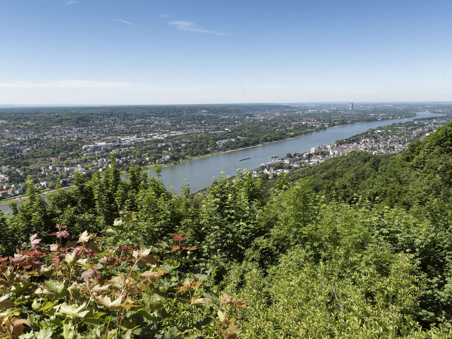 Wandern am Rhein & Siebengebirge | 4 Tage