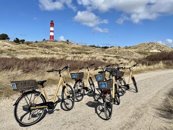 Last Minute - Amrum zum Kennenlernen | 2 Nächte