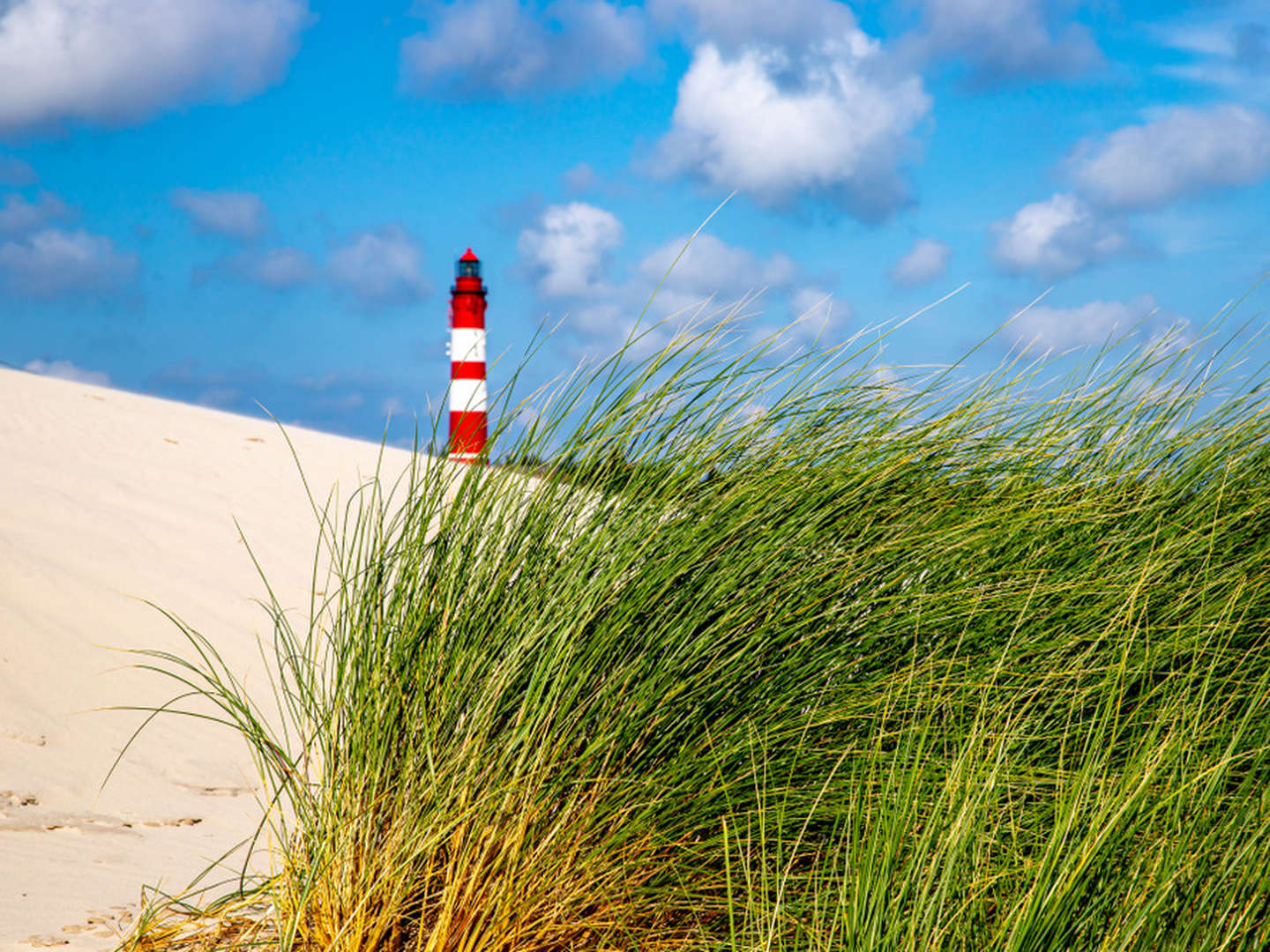 Romantische Zeit auf Amrum an der Nordsee I 6 Nächte