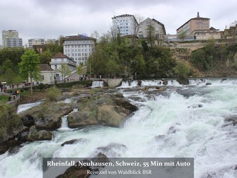 Schönheit der Donauquelle  mit Erlebnisführung im Schwarzwald