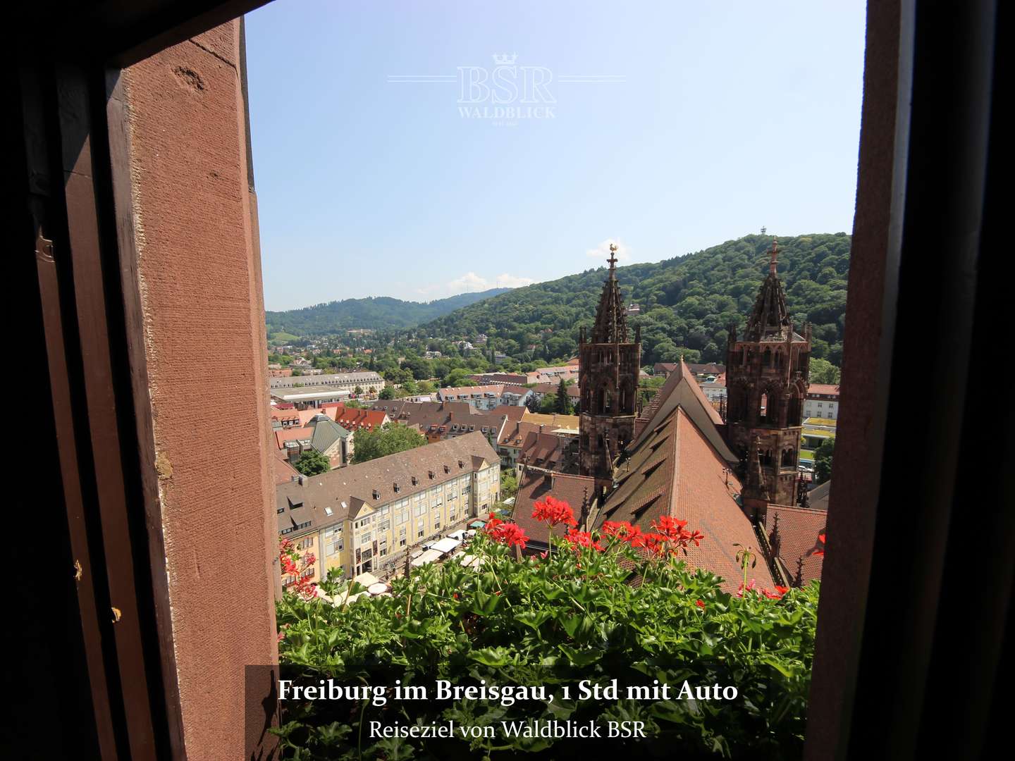 Familienerinnerungen mit Schifffahrt durch den Rhein und historischen Zugfahrten“